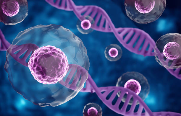 istock Research of stem cells. Stem cells under a microscope. Cellular Therapy 2180397275