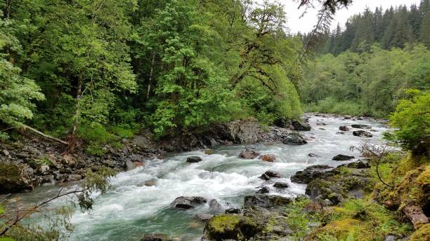 istock Stream along Mountain Loop Highway near Seattle, Washington, Pacific Northwest 2180397775