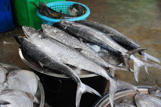 istock Fresh fish in the market 2180398171