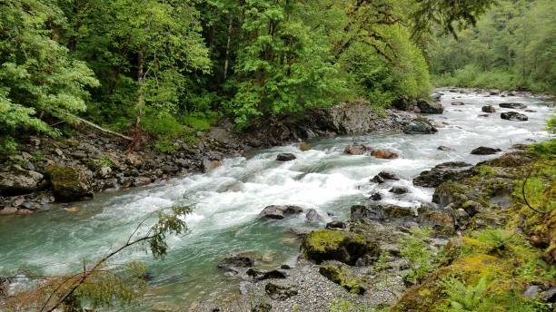 istock River along Mountain Loop Highway near Seattle, Washington, Pacific Northwest 2180399908