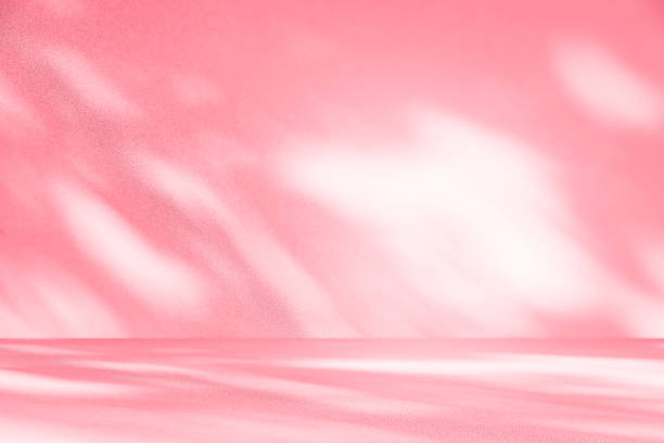 istock Wall interior background, studio, and backdrops show products. with shadow from window color white and pink light. background for text insertion and presentation of product 2180401164