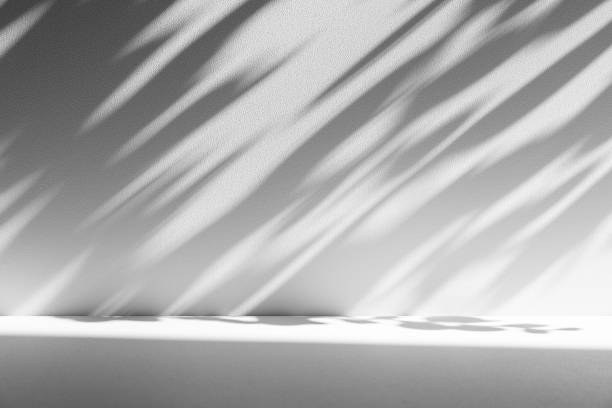 istock Wall interior background, studio and backdrops show products.with shadow from window color white . background for text insertion and presentation product 2180401215