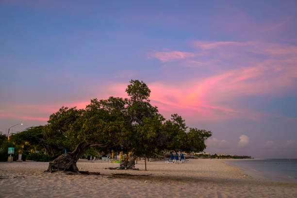 istock Aruba – picturesque beach scenery on a Caribbean island 2180401904