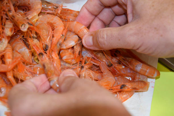 istock Hands sorting and preparing fresh shrimp in the kitchen for delicious cooking purposes 2180404178