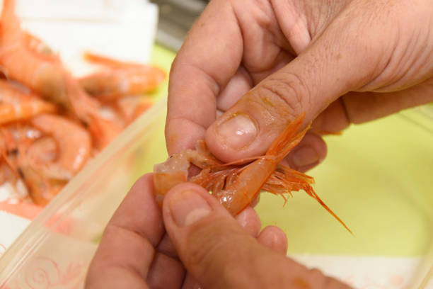 Preparing Fresh Shrimp Before Cooking to Create Delicious Culinary Dishes and Tasty Experiences