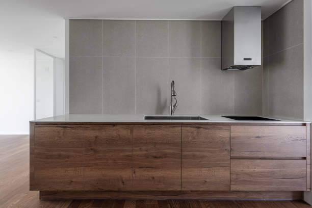 elegant contemporary kitchen room interior