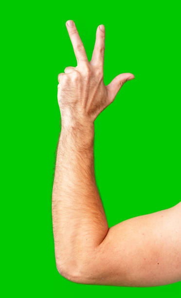 istock human arm gesturing with raised fingers against a bright green backdrop 2180411824