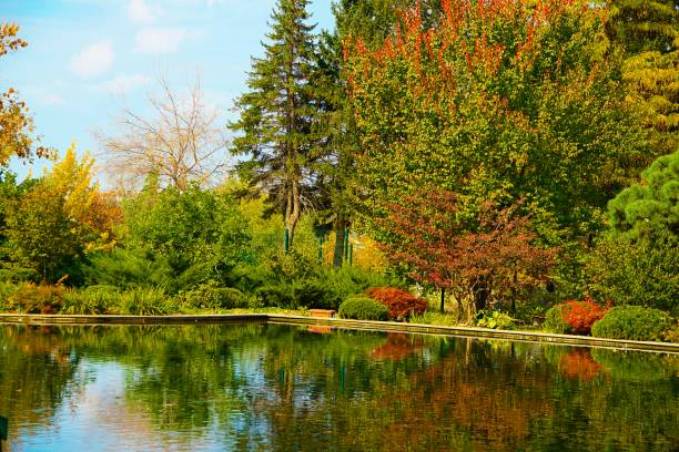istock Park, pond, greenery, grove, red tree, green tree, lake 2180412193