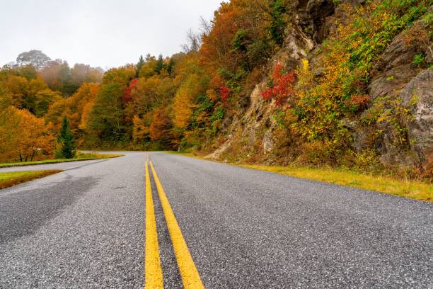 istock Scenic autumn road with vibrant foliage. 2180418105