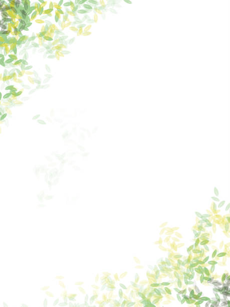 istock Blank autumn fall scenic beauty background with green and yellow leaves falling from the corners  backdrop with colours of nature over white copy space 2180419159