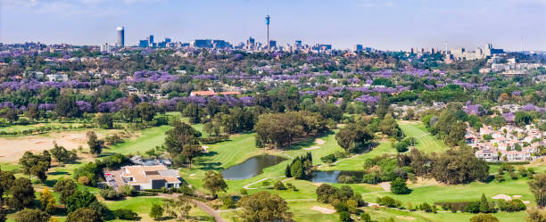 Houghton Golf Course  in Johannesburg