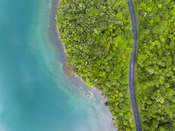 Aerial view of a winding road through lush green jungle bordering a tranquil turquoise coastline blending nature and infrastructure in Rotorua, New Zealand.
