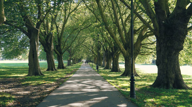 istock University of London and Cambridge 2180424876