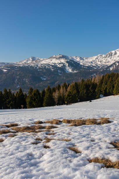Snow covered alpine pasture with panoramic view on snow capped mountain peak Zirbitzkogel and Kreiskogel in Seetal Alps, Styria, Austria, Europe. Hiking trail Central Alps in winter on sunny day