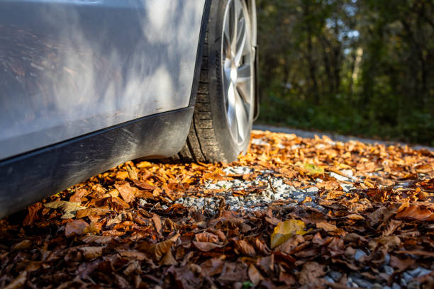 istock Electric car parked on a macadam road surrounded with  fall season leaves 2180437683