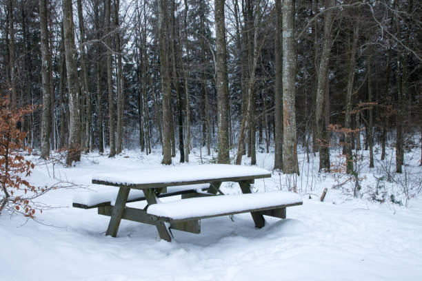 istock bench and table in a forest a winter day covered in thick snow 2180438267