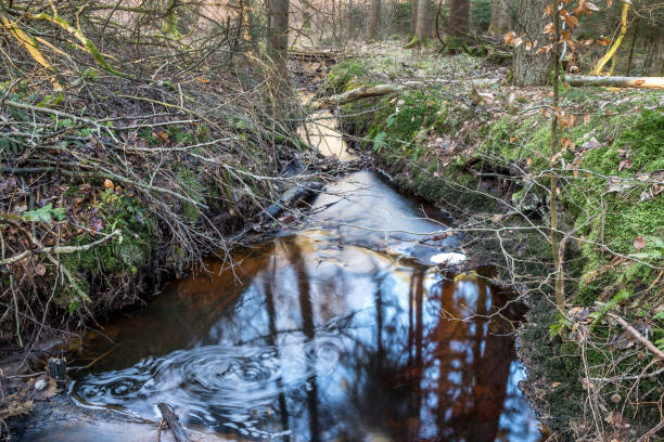 istock creek in forest with slow shutterspeed a cold winter day with fallen trees in unspoiled nature 2180438819