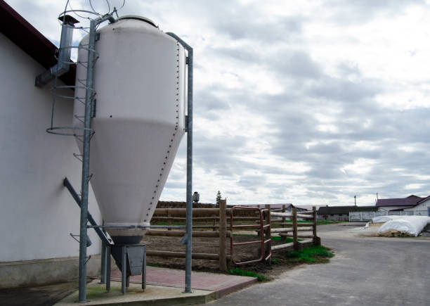 Spacious metal seed storage construction on horse farm.Granary elevator with seeds.