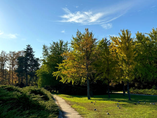 istock Autumn park idyllic scenic nature. 2180442138