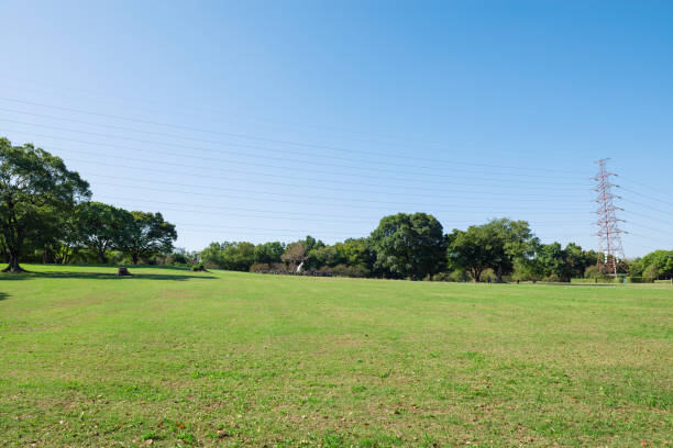 istock Daisen Park in Sakai City 2180442243