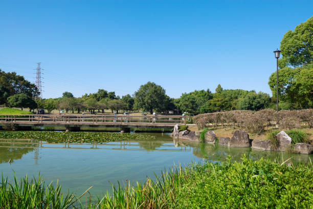 Daisen Park in Sakai City