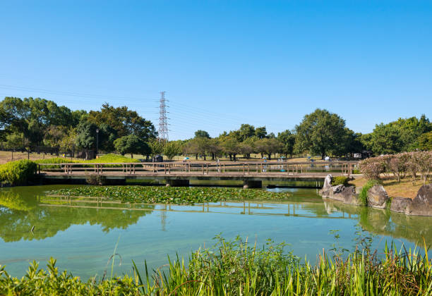 istock Daisen Park in Sakai City 2180442553