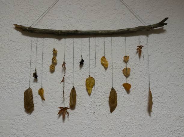 istock collage of dry autumn leaves as a panel on a textured wall 2180442879