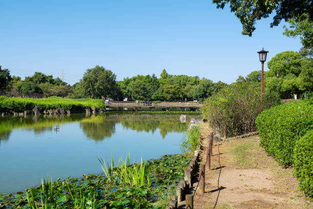istock Daisen Park in Sakai City 2180442923