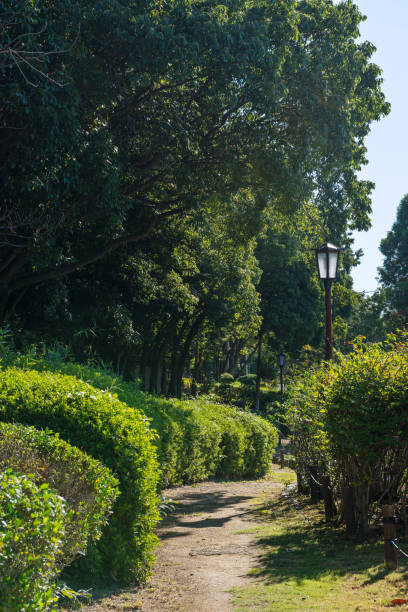 Daisen Park in Sakai City