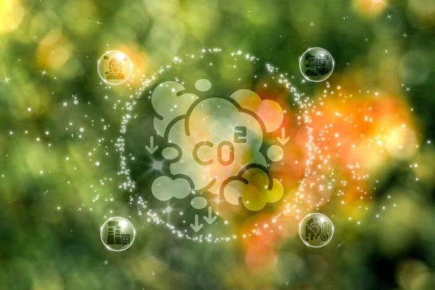 istock Reduce CO2 emissions to limit climate change and global warming. Co2 text in bubbles with forest.carbon dioxide CO2 molecules. Low greenhouse gas levels, decarbonize, net zero carbon dioxide footprint 2180445451