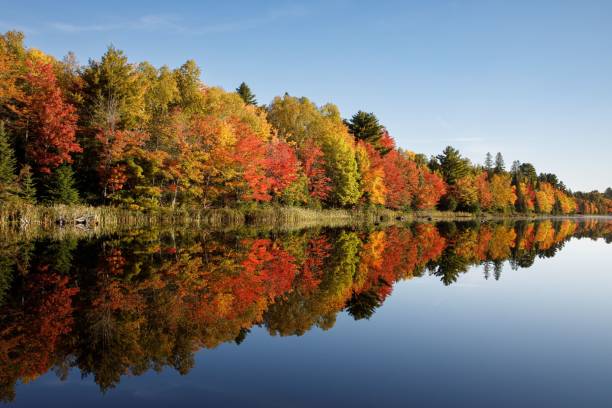 istock Beautiful autumn forest scene reflecting on clear blue lake under blue cloudy sky 2180446533