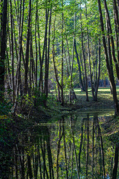 istock Picturesque nature, nature corner 2180447926