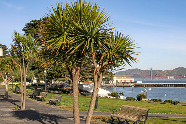istock San Francisco and Golden Gate Bridge 2180450899