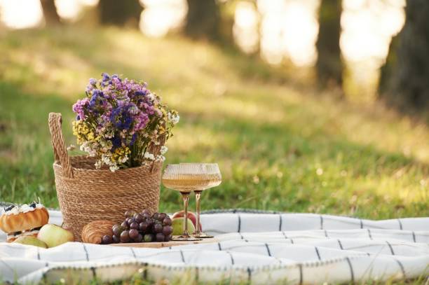 istock Picnic outdoors on the field, close up view 2180452248
