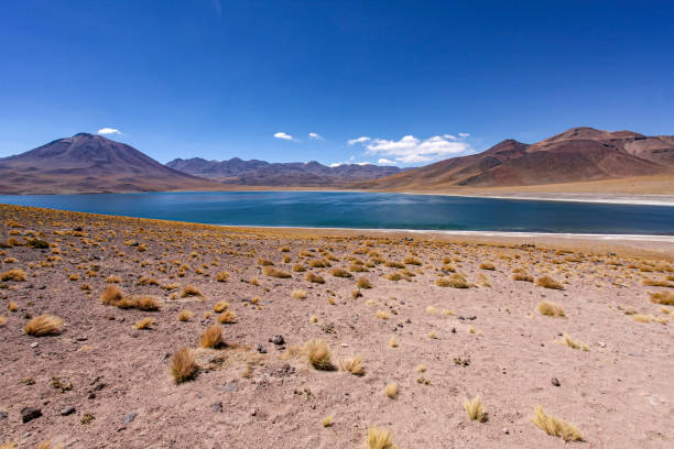 istock Lakes in the Alitplano in the Andes 2180454813