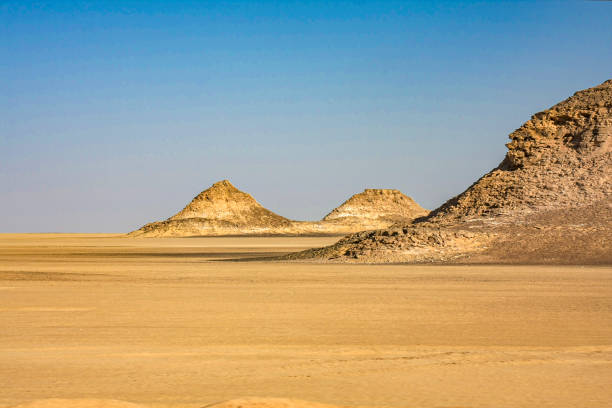 istock In the Sahara desert 2180454863