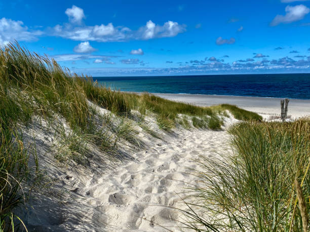 istock Sanddunes and beach on Sylt, Germany 2180454871