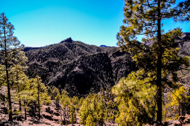 istock A mountain range with trees in the foreground and a blue sky in the background 2180462150