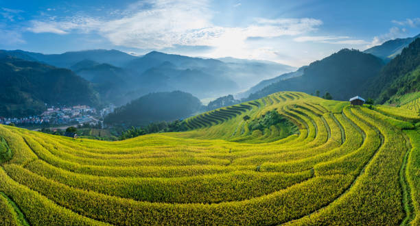 istock Mu Cang Chai rice terrace 2180465004