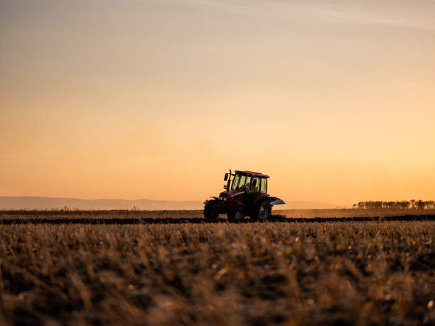 istock Tractor plowing and preparing stubble field for crop cultivation 2180469479