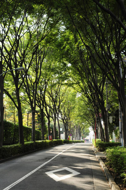 istock Hiroo Garden Hills avenue 2180469502