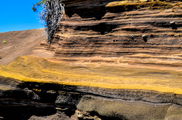 A rock formation with a tree growing out of it. The rock formation is made up of many layers of different colors