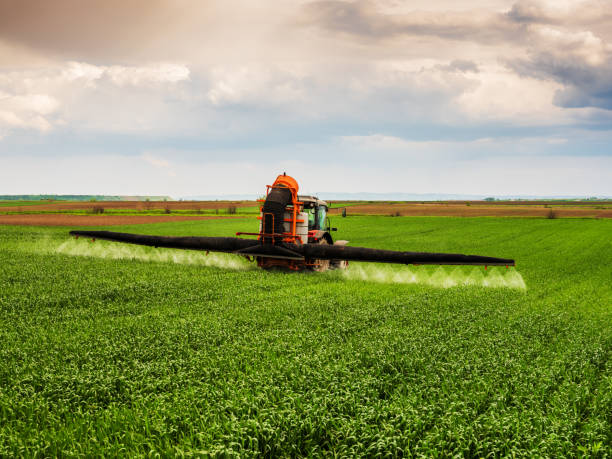 istock Herbicide application in wheat fields, farmer in tractor protecting crops from weeds 2180470880