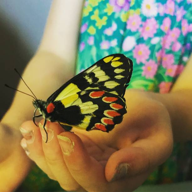 istock Girl catches butterfly 2180474493