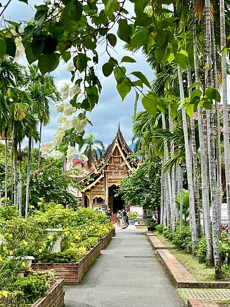 Thailand - Chiang Mai - Wat Phra Singh temple \n\nWe are in the historic center of Chiang Mai, at the Wat Phra Singh temple.\nThis temple is surrounded by very beautiful tropical vegetation with flowers and palm trees.\n\n08/05/2024