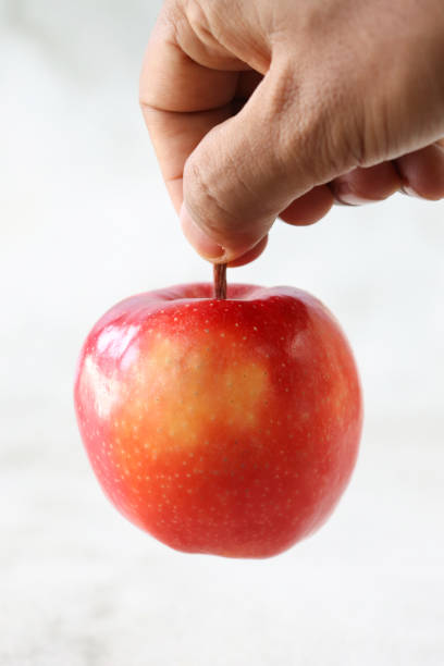 Stock photo showing close-up view of unrecognisable person holding a red Honeycrisp apple with shiny, speckled skin by its stalk gripped between their thumb and index finger against a mottled white background.