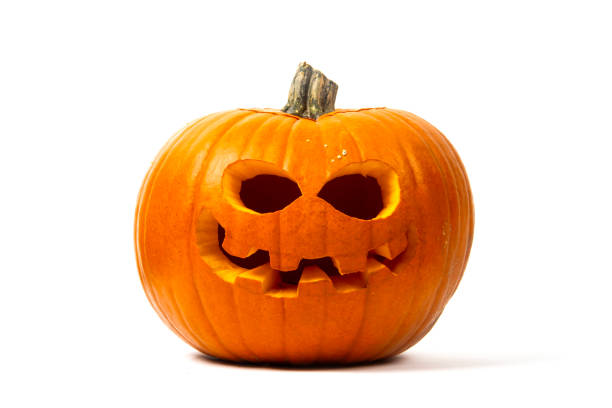 whole, carved halloween pumpkin - studio photography on black background