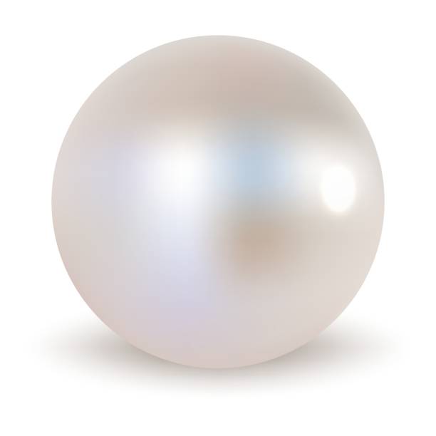 istock Pearl. Jewelry, gemstone, white, round, luxury, shiny, smooth, elegant, precious, natural, marine, rare, beauty, ornament, fashion, glossy, treasure, iridescent. 2180496472