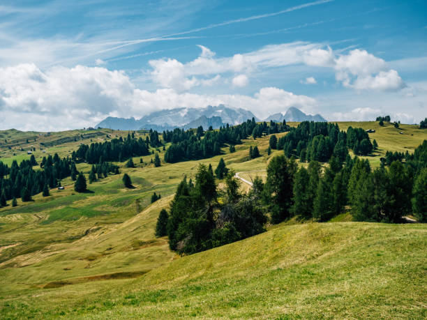 istock Sunny green meadows of the dolomites embracing a mountain range 2180502291