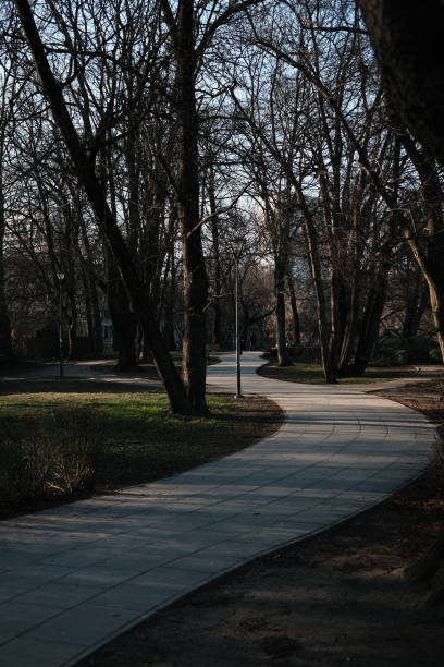 istock A serene park scene with leafless trees, pathways, and benches on a cloudy day. 2180502479